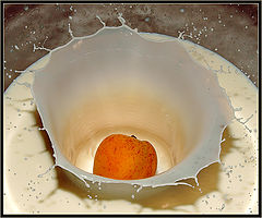photo "Milk and apricot"