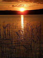 photo "***"