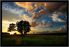 photo "***"