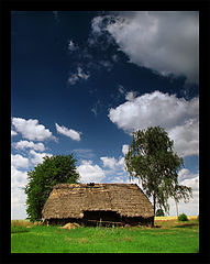 фото "The barn"