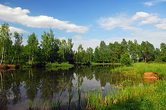 фото "Лесное озеро"