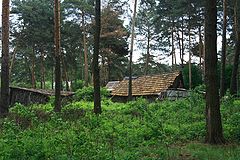 фото "Лесной домик"