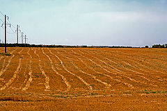 photo "Sowing of high-voltage"