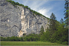 photo "Natural wall"
