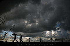 photo "It is going to rain..."