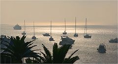 фото "Foggy morning"