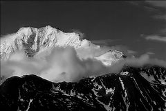 фото "black&white&grey"