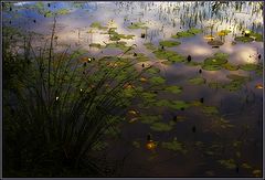 photo "Evening was coming on....."