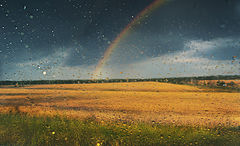 photo "***"