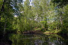 фото "Затаённое озерцо"