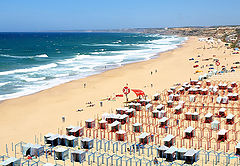 photo "A Beautiful Sunny Day... in Santa Cruz Beach!"