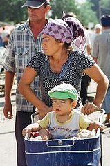 фото "Папа Мама и Я"