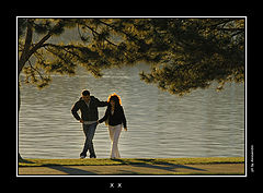 photo "X   X"