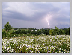 фото "летняя гроза"