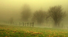 photo "***"