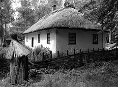 фото "улей"