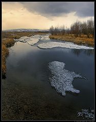 photo "White sheep"