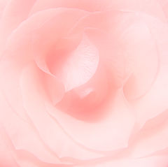 фото "For Eva"