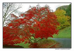 фото "paesaggio montano"