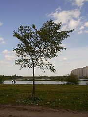 фото "Пейзаж окраин"