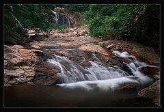 фото "Hong Kong Oasis"