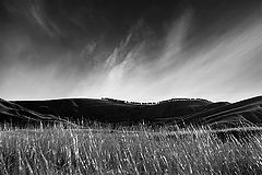 photo "Exile"