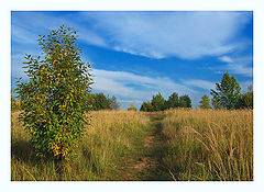 photo "***"