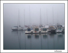 фото "Foggy day"