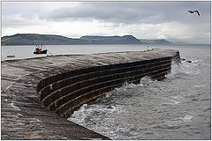 photo "Lyme Regis."