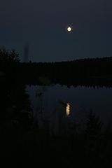 photo "***"