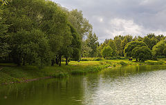 photo "Cloudy. Park. Petersburg."