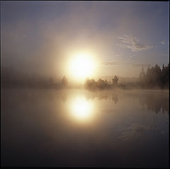 photo "***"