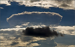 photo "i will"