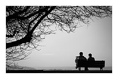 фото "under the tree"