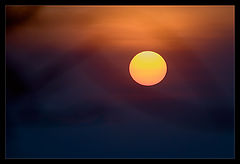 photo "A method of shooting the sun at sunset through the branches"