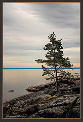 фото "На берегу Белого моря"