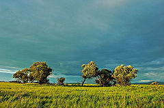 photo "***"