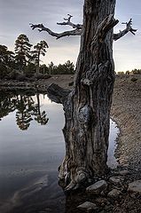 photo "***"