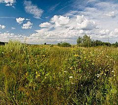 фото "Август"