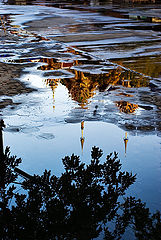 photo "After rain"