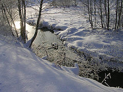 photo "winter day"