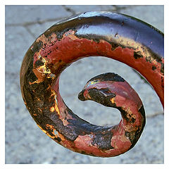 photo "Snake"