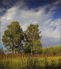 фото "Аура"