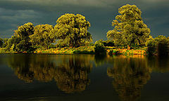 photo "***"