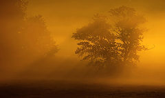 photo "***"