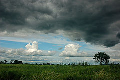 photo "***"