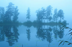 photo "***"