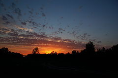 photo "***"