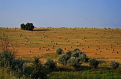 фото "Квадратики"