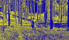 фото "Человек термоядерной эпохи сливается с природой"